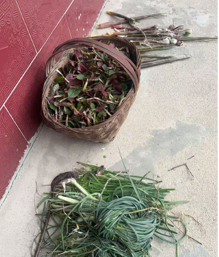 微信圖片_20250423163317