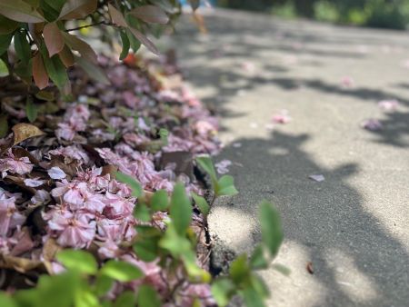 微信圖片_20250616162020