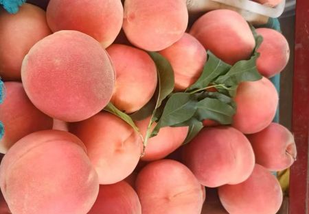 581b9959c950771ecbffde003f53823